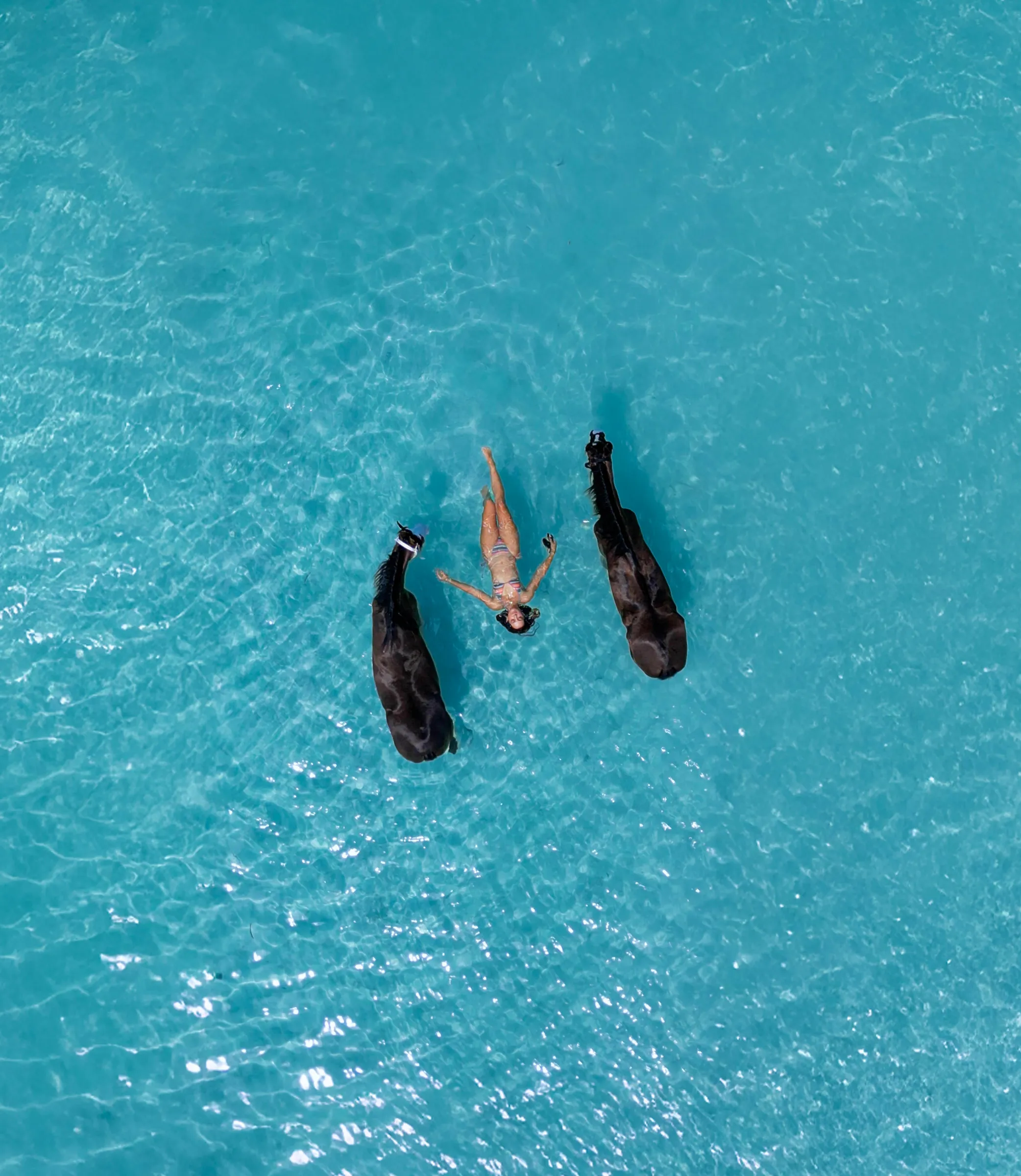 Drone & Aerial